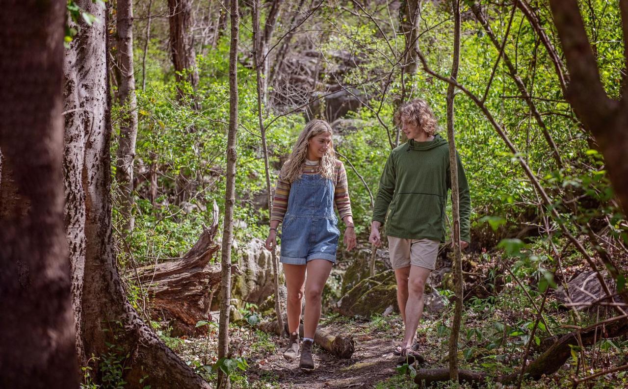 Eden Cabin Forested Tiny Home On Lookout Mtn تشاتانوغا المظهر الخارجي الصورة